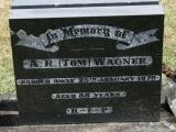 image of grave number 934271
